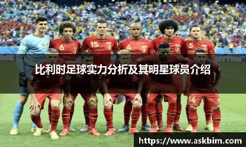 比利时足球实力分析及其明星球员介绍
